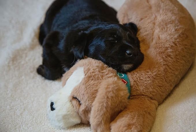 Puppy Heartbeat Toys Calming Separation Anxiety Relief Toys for Dogs Heartbeat Simulator in a Soft Comforting Pillow Pet Plush