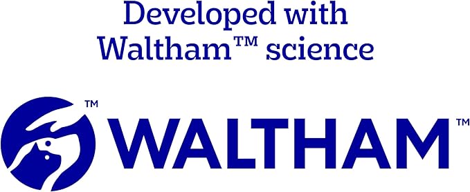 Pedigree Dentastix Large Breed Dog Treats, Original, Beef & Fresh Flavor, 2.73 lb. Variety Pack (51 Treats)