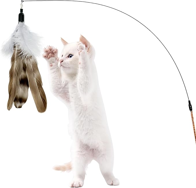 Cat Feather Toy Refills, 8 Pieces Natural Da Bird Feathers Refills, Cat Wand Replacement Feathers for Cat Toys