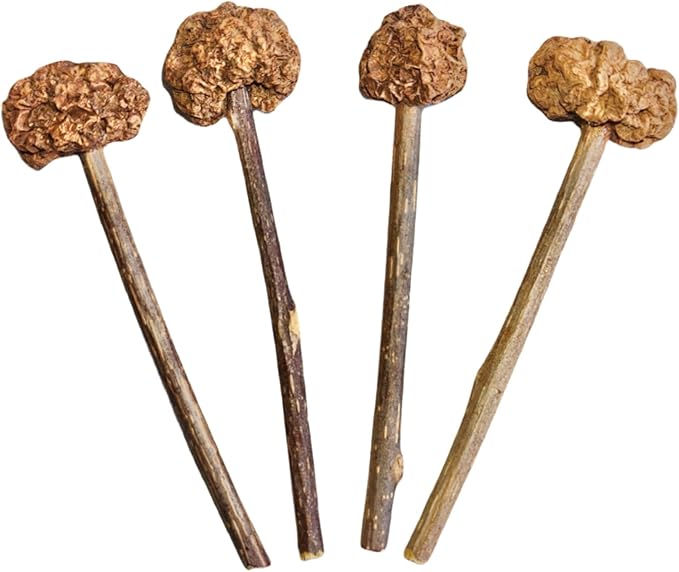 4 PCS Silvervine Stick Cat Toy with Gall Fruit – Natural Lollipop-Shaped Matatabi Chew Toy for Cats – Catnip Alternative for Teeth Cleaning, Anxiety Relief & Interactive Play – 4.8" Cat Dental Toy