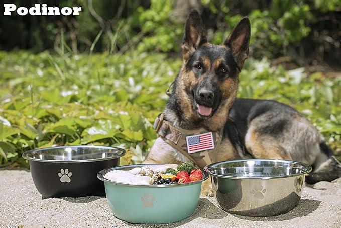 Large Dog Water Bowl 2 Pack, 1.3 Gallons 170oz Stainless Steel Extra Large Dog Food Bowl for Big Giant Dogs, Aqua
