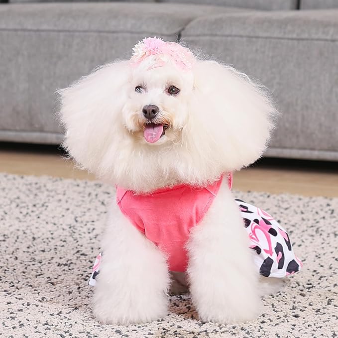 CuteBone Dog Dresses Velvet Mama's Girl Small Dogs Clothes Onesie Pet Apparel Girl Puppy Skirt with Bow Hair Rope CVA40M-D