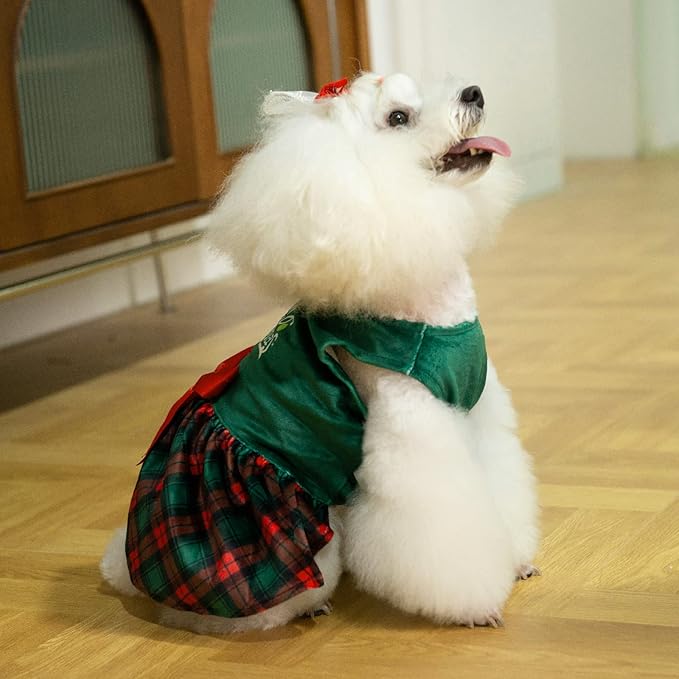 CuteBone Christmas Tree Dog Dress Velvet for Small Dogs Girl Puppy Dresses Green Plaid Dog Clothes CVA05XS-D