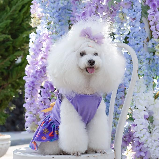 CuteBone Easter Dog Dress Velvet for Small Dogs Girl Flower Skirt Puppy Dresses Purple Dog Clothes CVA16XS-D