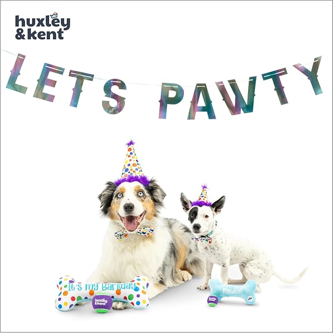 Huxley & Kent Celebration Box for Dogs - Fun Gift Set with Plush Squeaky Toys, Party Hat, Bow Tie & Banner - Birthday, Gotcha Day & Special Occasion Dog Set - Happy Barkday Box, Small