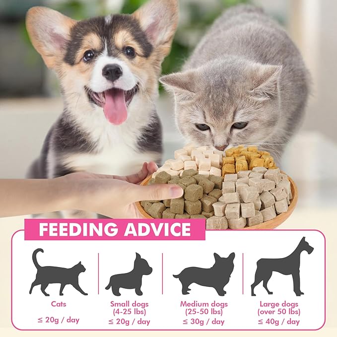 Freeze Dried Cats & Dogs Raw Treats, All Natural Single Ingredient Chicken Liver, High Protein Healthy Pet Training Treats or Food Topper, 6 oz