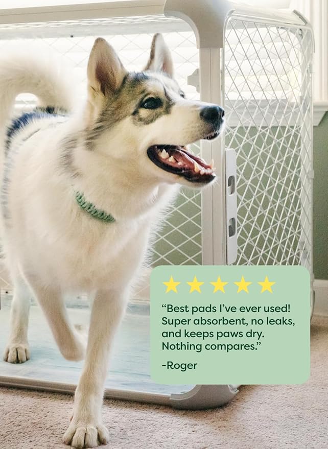 Earth Rated Max Absorbency Puppy Pee Pads for Dogs Absorbs 2X Faster & 2X More, Leak-Proof, Odor Control Potty Training, Unscented, Large, 22” x 23”, 40 Count