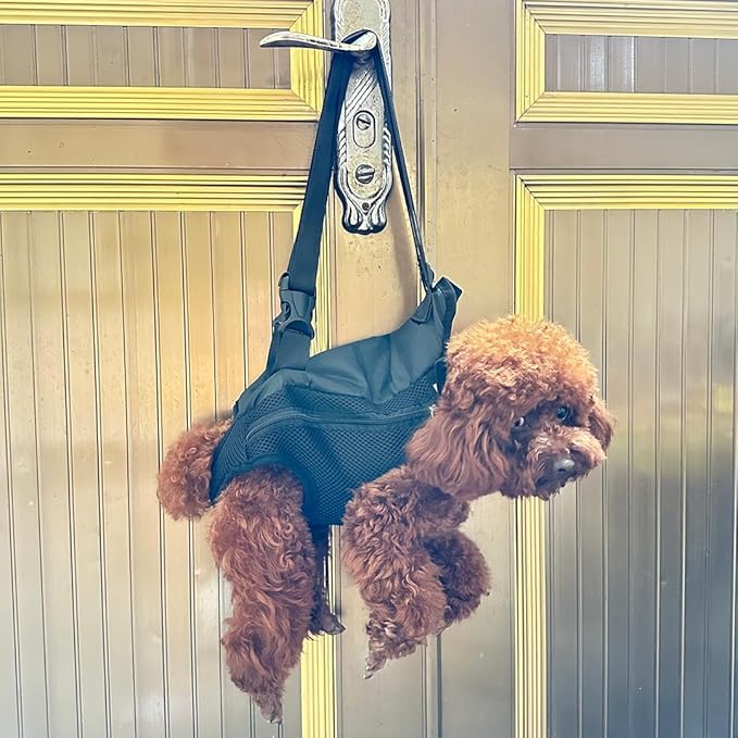 Pet Dog Carrier Backpack, Portable Breathable Mesh Chest Carrier, Polyester Woven Double Shoulder Pet Bag for Outdoor Adventures (Black, X-Large)