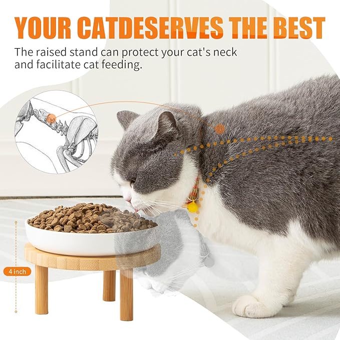 Shallow Elevated Cat Bowls,5.9 Inch Wide Raised Ceramic Cat Dishes with Bamboo Stand, Whisker Friendly Pet Water or Food Plates Feeding Station for Indoor Cats, Kitten (Blue,Set of 2)