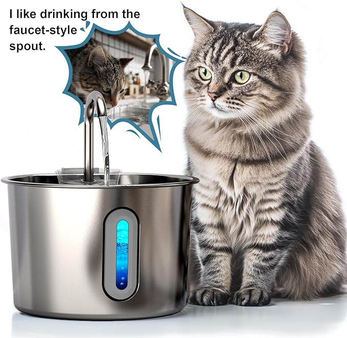 HAJXM Cat Water Fountain, 74oz/2.2L Cat Fountain for Drinking - Pet Water Fountain Stainless Steel for Cats Inside - Quiet Water Bowl Dispenser - Kitty Drinking Fountains - for Pets& Small Animals