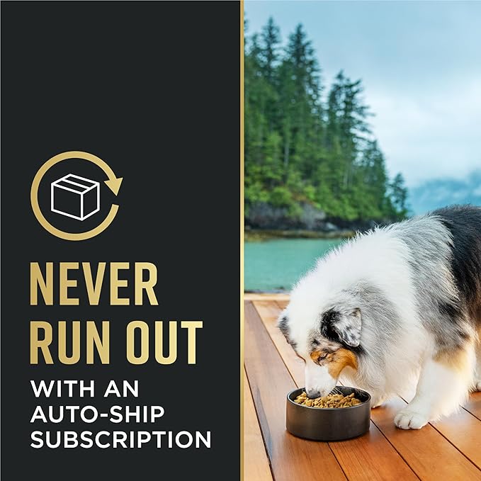 Purina Pro Plan Complete Essentials Shredded Blend Chicken and Rice Dog Food Dry Formula with Probiotics for Dogs - 35 lb. Bag