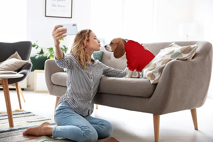 Dog Sweater Turtleneck Knitted Pet Clothes Solid Color Puppy Sweater Warm Dog Sweaters for Small Dogs(Red&S)