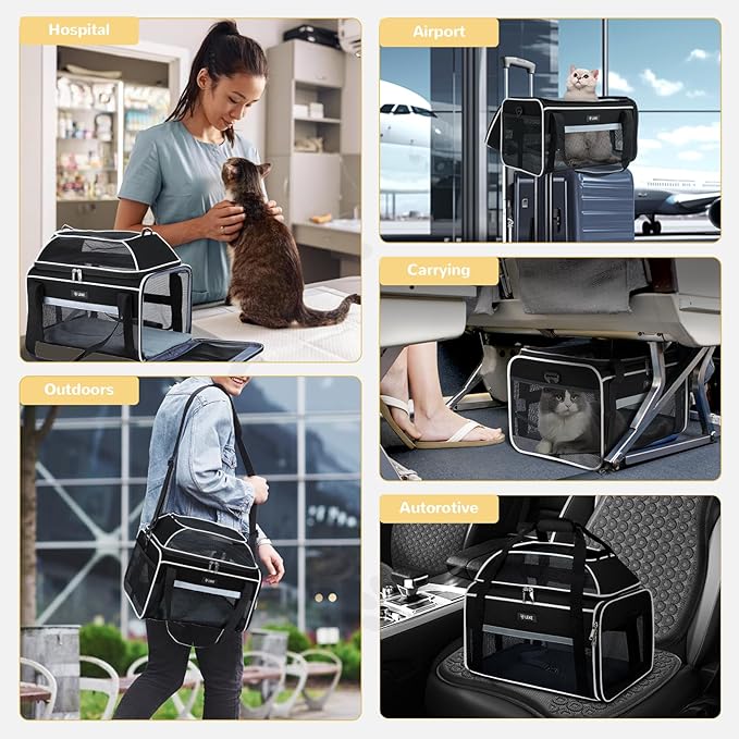 Lekereise Top-Expandable Pet Carrier - TSA Airline Approved Soft Sided Underseat Up to 15lbs Travel Carriers for Small Cats and Dogs with Locking Safety Zippers Anti-Scratch Mesh Large