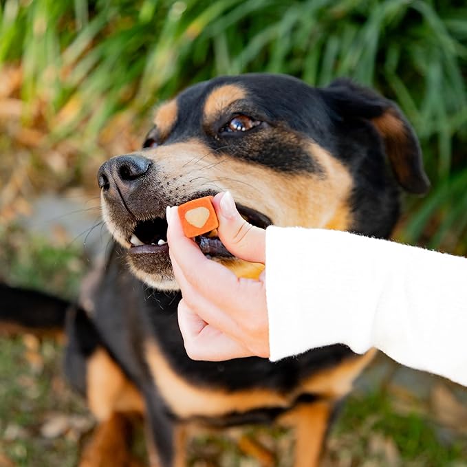 Ark Naturals Protection+ Brushless Toothpaste, Dog Dental Chews for Medium Breeds, Prevents Plaque & Tartar, Freshens Breath, 54oz, 1 Pack, Red
