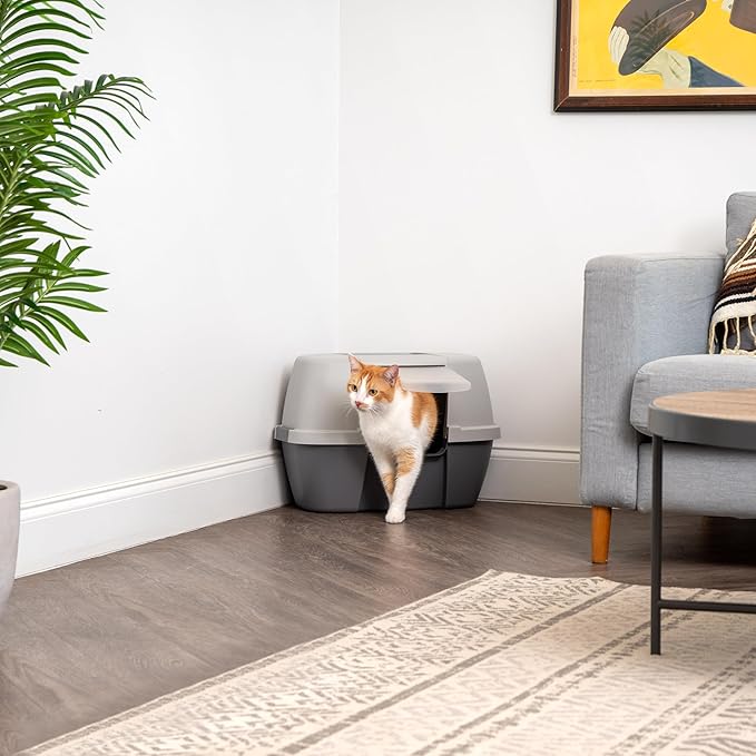 IRIS USA Corner Cat Litter Box Enclosure with Scoop, Small Cat Litter Box with Lid, Corner Litter Box Enclosure for Kittens to Medium Sized Cats, Odor Defensive Hooded Litter Tray, Dark Gray