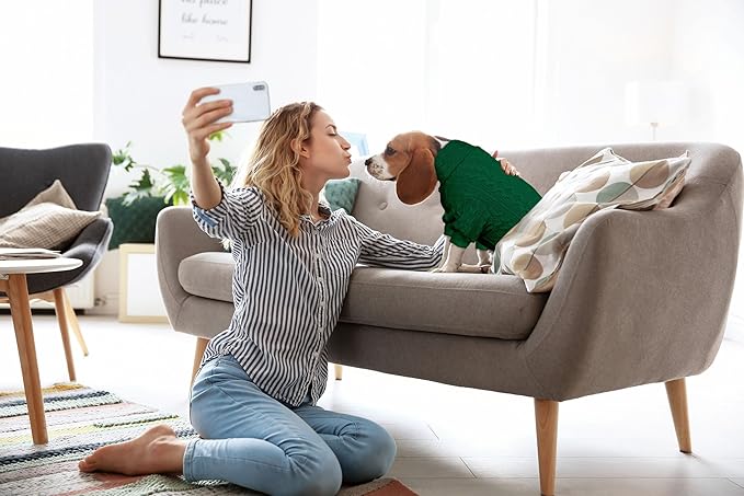 Dog Sweater Turtleneck Knitted Pet Clothes Solid Color Puppy Sweater Warm Dog Sweaters for Small Dogs(Green&XS)