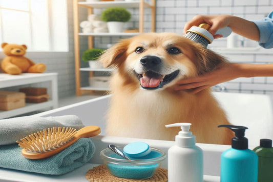 How to Keep Your Dog Clean & Well-Groomed at Home