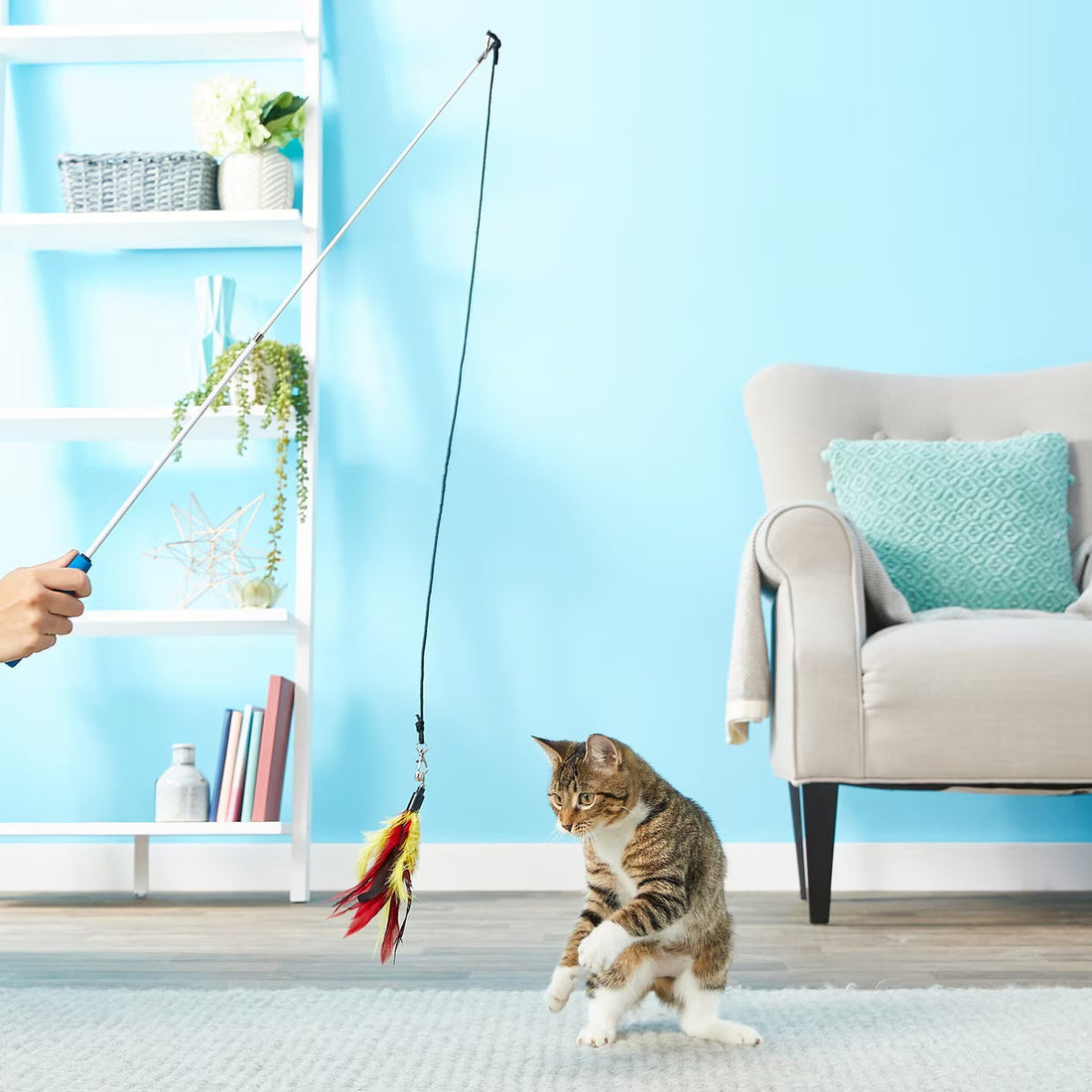 Hunting Instincts in Cats: How to Choose Toys That Truly Engage Them