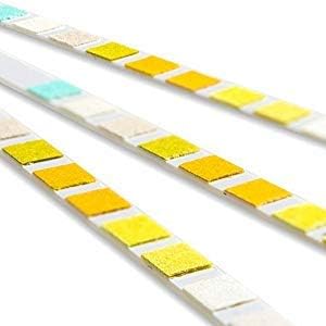 One Step Pet Urine Testing Strips, 100 x Urinalysis Parameter Tests for Dogs, Cats & Animals, Pet Test Glucose Strips, Accurate Testing for Vets, Detects UTI, Bladder, Kidney, Liver, SG, pH