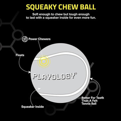 Playology Dog Toys | Squeaky Chew Ball - Bouncy Durable Floating Fetch Ball for Dogs, Value 2-Pack | Medium Chicken Scented Toy - Easy to Clean and Made from Non Toxic Materials