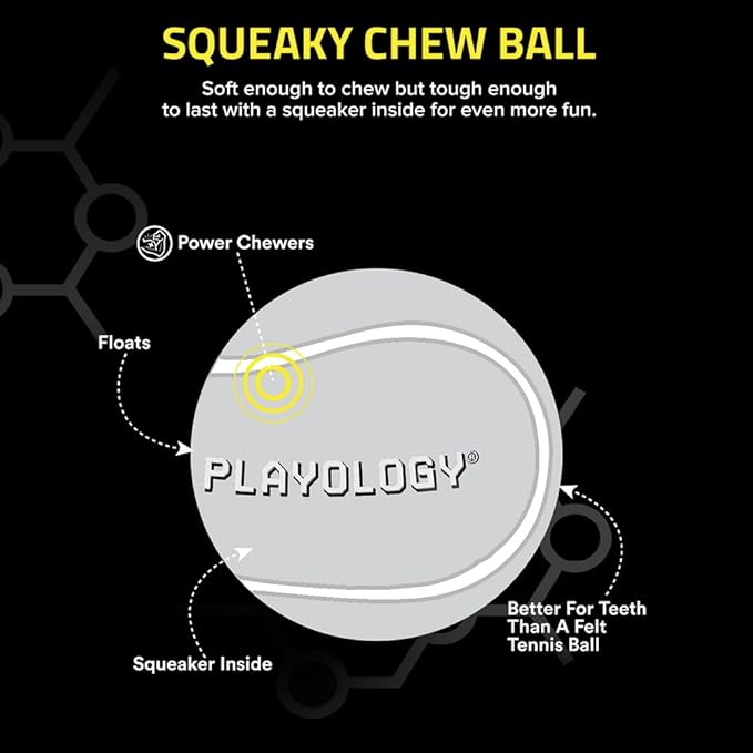 Playology Dog Toys | Squeaky Chew Ball - Bouncy Durable Floating Fetch Ball for Dogs | Medium Chicken Scented Toy - Easy to Clean and Made from Non Toxic Materials