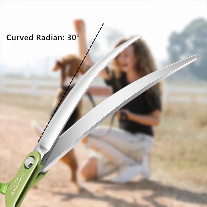 HASHIMOTO Curved Scissors for Dog Grooming, Dog Grooming Scissors Curved, Extremely Light Weight, 6.5 inch, 30 Degree of Curved Blade, Matt Surface.
