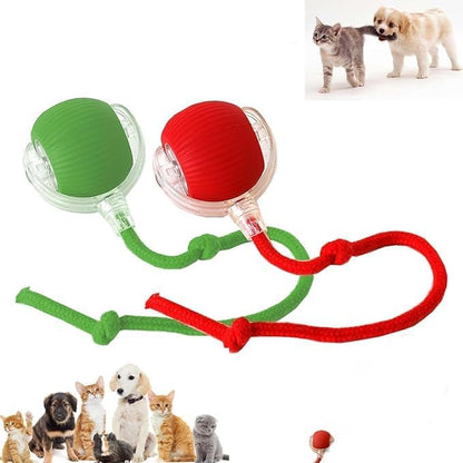 2024 New Electric Dog Ball Toy for Cat,360° Smart Automatic Interactive Rolling Dog Smart Pet Toy Ball,Gift for Kids