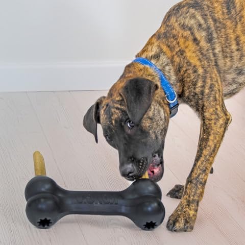 KONG - Extreme Goodie Bone Most Durable Natural Rubber Dog Bone for Power Chewers - Black - for Extra Large Dogs