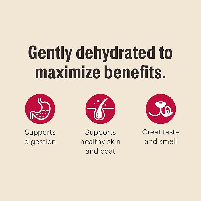 The Honest Kitchen Human Grade Wholemade™ Dehydrated Whole Grain Dog Food - Complete & Balanced Meal or Topper - Beef & Oat 10 lb Box