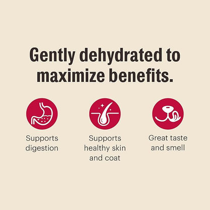 The Honest Kitchen Human Grade Wholemade™ Dehydrated Whole Grain Beef & Oat Dog Food - Complete & Balanced Meal or Topper - 4 lb Box