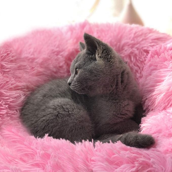 BODISEINT Modern Soft Plush Round Pet Bed for Cats or Small Dogs, Mini Medium Sized Dog Cat Bed Self Warming Autumn Winter Indoor Snooze Sleeping Cozy Kitty Teddy Kennel (20'' D x 8'' H, Hot Pink)