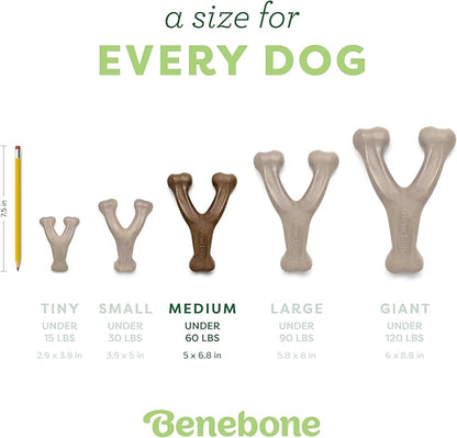 Benebone Medium 3-Pack, Wishbone Durable Dog Chew Toy for Aggressive Chewers, Real Bacon, Chicken, Peanut Butter, Made in USA, Variety Pack