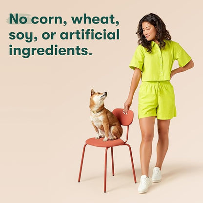 Jinx Tenders Salmon Jerky Dog Treats, All-Natural Ingredients, Soft and Chewy, Low-Calorie, Slow-Smoked Salmon & Pumpkin, No Fillers, 5oz (Pack of 2)