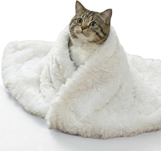 Cat Blanket for Indoor Cats Ultra-Soft Plush Small Blanket Machine Washable Cozy Calming for Kittens Cats Bed Couch Car 21"x18" White