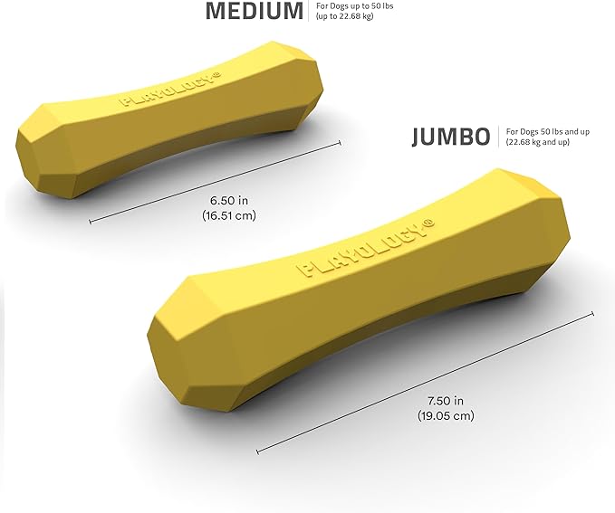 Playology Dog Toys | Durable Squeaky Chew Stick for Dogs | Jumbo Apple Cider Scented Toy - Limited Edition Fall Collection | Easy to Clean and Made from Non Toxic Materials