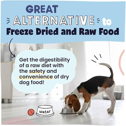 Pawstruck Air Dried Dog Food with Real Beef, Grain Free, Made in USA, Non-GMO, Vet Recommended, High Protein Limited Ingredient Full-Feed, All Breeds & Ages, 2.5oz Trial Bag