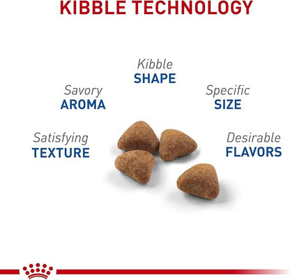 Royal Canin Feline Health Nutrition Indoor Adult Dry Cat Food, 15 lb Bag