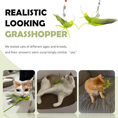 Cat Insect Feather Toys Replacement - 2 Pcs Handmade Natural Grasshopper - Cat Toy Wand Refills - Interactive Kitten Teaser Wand Attachments - Cat Toys for Indoor Cats Play