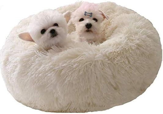 BODISEINT Modern Soft Plush Round Pet Bed for Cats or Small Dogs, Mini Medium Sized Dog Cat Bed Self Warming Autumn Winter Indoor Snooze Sleeping Cozy Kitty Teddy Kennel (24'' D x 8'' H, White)