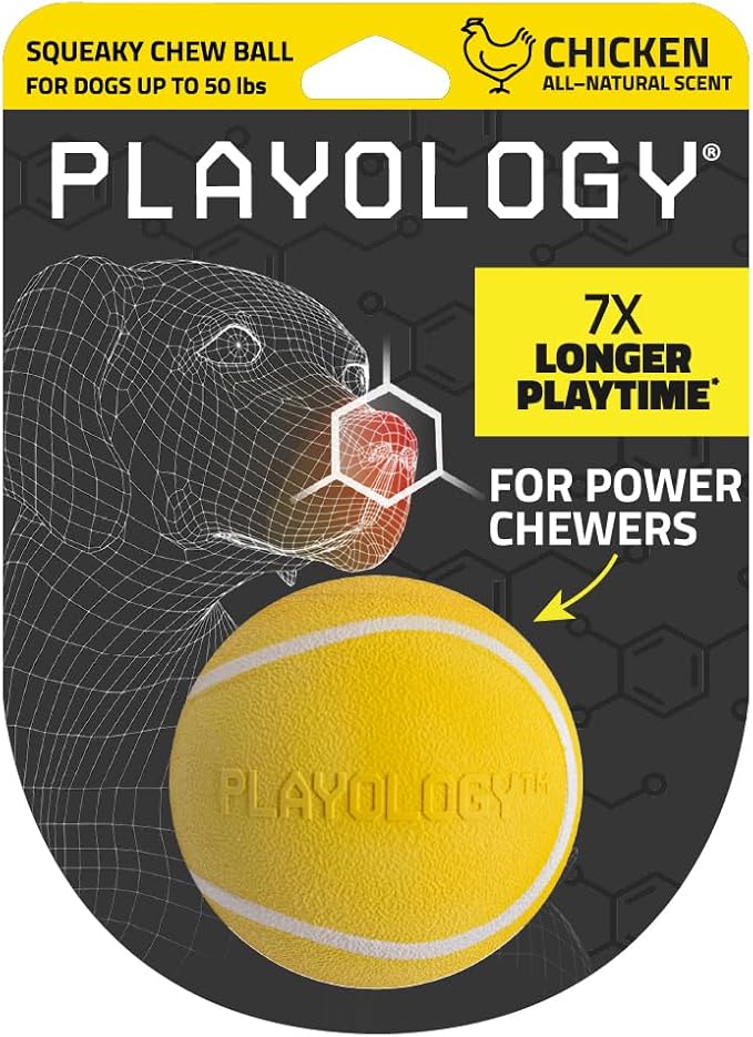 Playology Dog Toys | Squeaky Chew Ball - Bouncy Durable Floating Fetch Ball for Dogs | Medium Chicken Scented Toy - Easy to Clean and Made from Non Toxic Materials