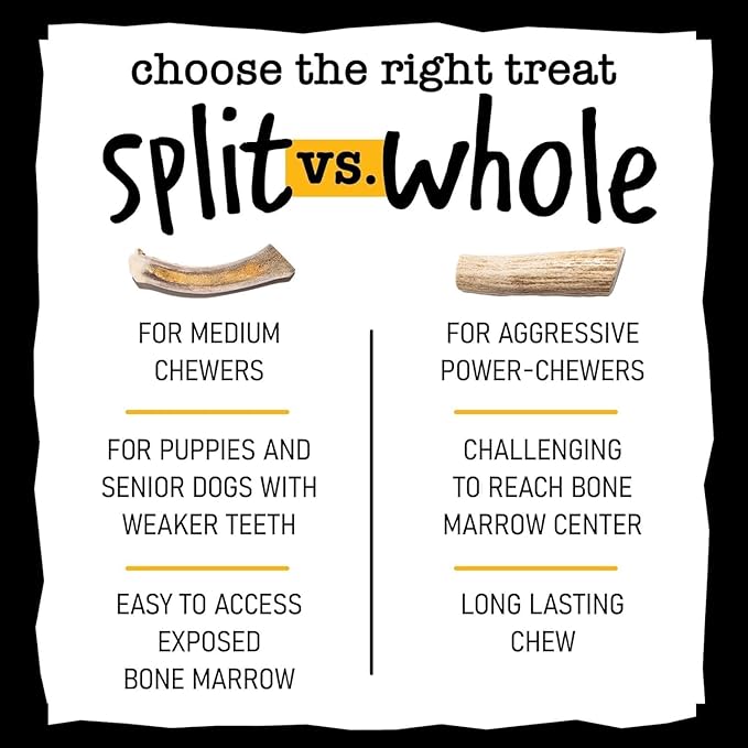 Snatchers Deer Antlers for Mild to Aggressive Chewers – Durable, Naturally Shed Antlers for Dogs Processed in The USA, No Additives (Small, 4-5", 1 Count)