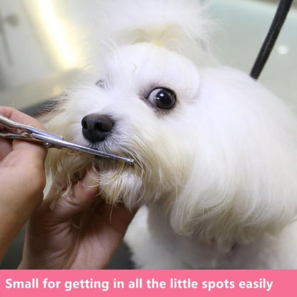 HASHIMOTO Small Dog Grooming Scissors with Rounded Tips, 5.0 inch, Straight Blade with Micro-Serrated, Designed for Trimming around the Eyes,Ears,Nose and Paws.