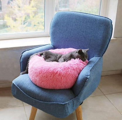 BODISEINT Modern Soft Plush Round Pet Bed for Cats or Small Dogs, Mini Medium Sized Dog Cat Bed Self Warming Autumn Winter Indoor Snooze Sleeping Cozy Kitty Teddy Kennel (20'' D x 8'' H, Hot Pink)