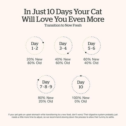 Now Fresh Grain-Free Dry Cat Food with Turkey, Salmon & Duck, Healthy Kibble for Adults Made with Real Meat & Fish, Chicken-Free, with Pumpkin & Probiotics for Sensitive Stomachs, 8 lb Bag