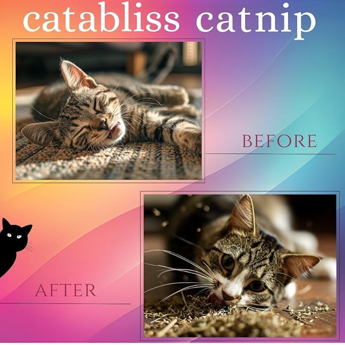 Catnip: Where Every Sprinkle is a Journey to Delight, 2oz Enjoy Sifted Catnip for Cats, Designed for use Loose on The Floor or Easy Refill Catnip Toys.