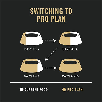 Purina Pro Plan Sensitive Skin and Stomach Dry Dog Food Senior Adult 7 Plus Salmon and Rice Formula - 24 lb. Bag