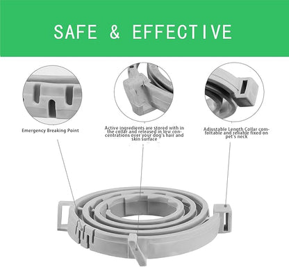 Flea and Tick Collar for Cats,12-Month Protection, Natural Ingredients, Waterproof & Adjustable,Includes Flea Comb & Tick Removal Tool,2 Pack