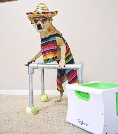 Small Interactive Ball Launcher with Rechargeable, Automatic Dog Ball Thrower for Mini Dog (Small Machine with 3 Balls)