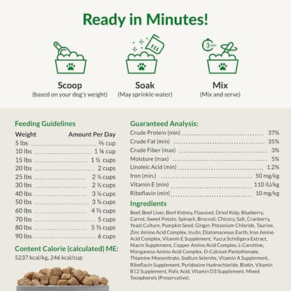 ULTIMATE PET NUTRITION Nutra Complete, 100% Freeze Dried Raw Veterinarian Formulated Dog Food with Antioxidants Prebiotics and Amino Acids (1 Pound, Beef)