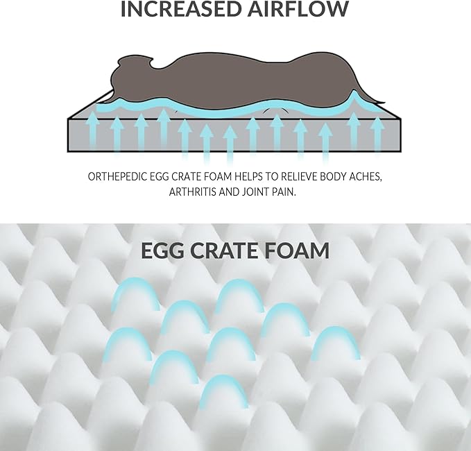 Patas Lague Orthopedic Dog Bed Large Sized Dog 36''X24'', Waterproof Soft Comfortable Egg Crate Foam Large Pet Beds Crate Mat with Removable Washable Cover and Nonskid Bottom, Grey